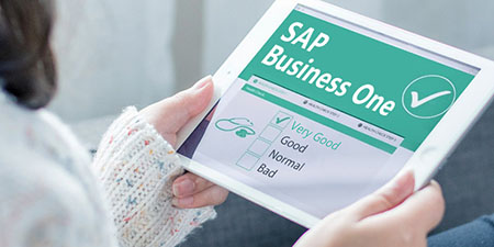 哲訊SAP Business One二次開(kāi)發(fā)：解鎖潛力，實(shí)現(xiàn)定制化需求
