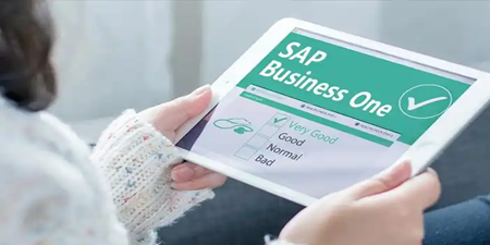 SAP B1 內(nèi)部錯誤，錯誤代碼對應(yīng)的原因說明