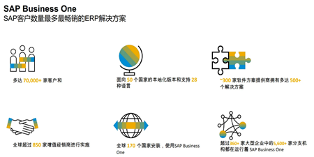 SAP B1 10.0 - 無法獲取訪問令牌，請(qǐng)與管理員聯(lián)系